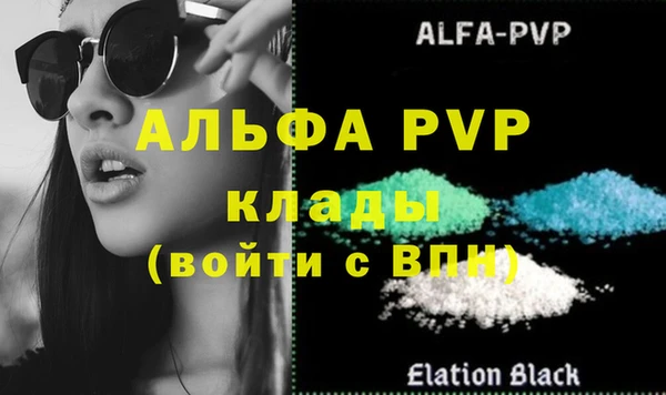 стаф Арсеньев
