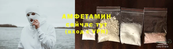 стаф Арсеньев