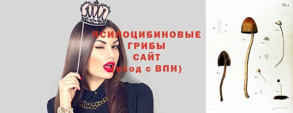 наркотики Новодвинск