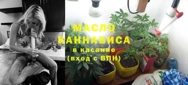 стаф Арсеньев